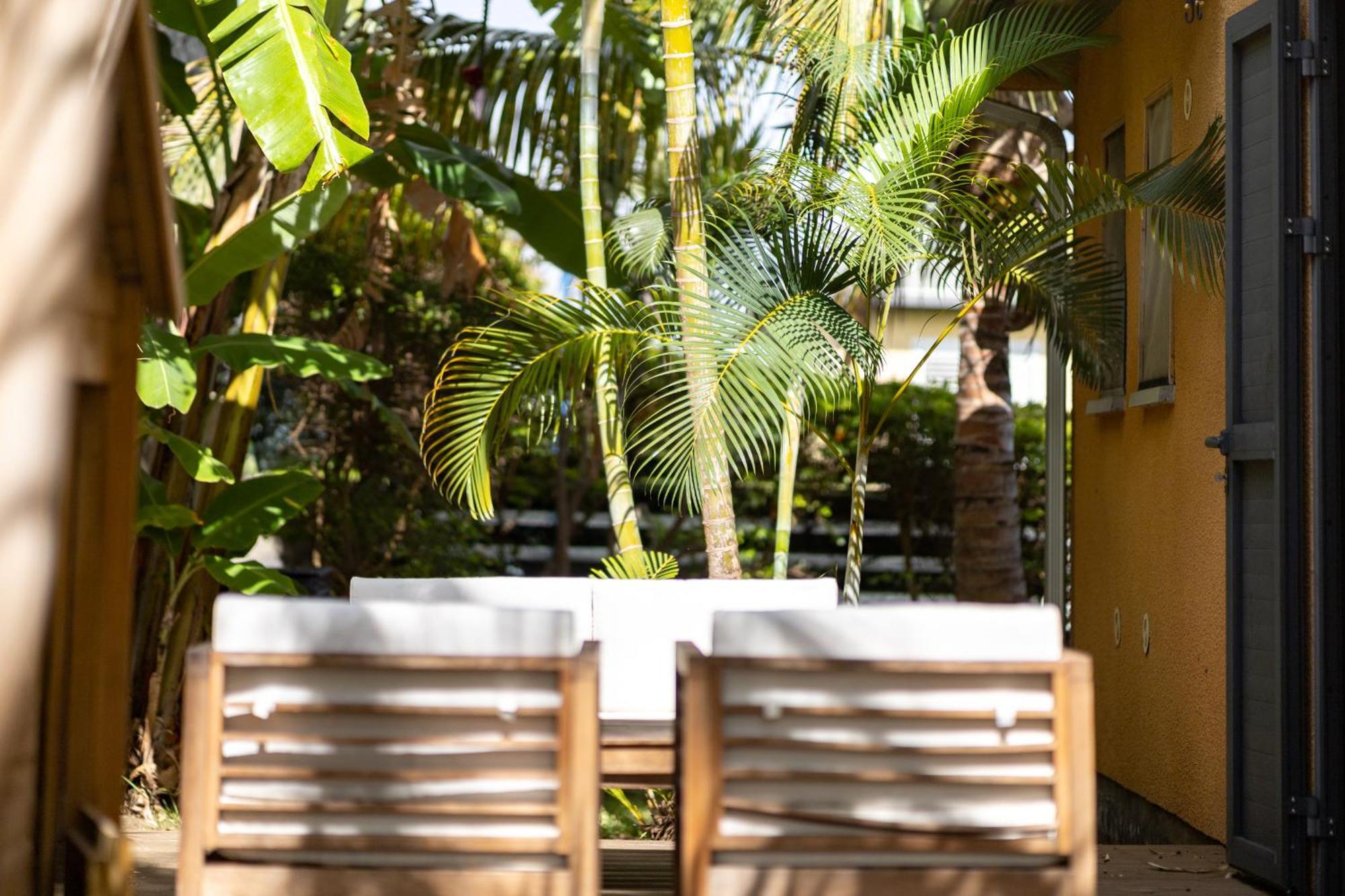 Villa Cactus Avec Piscine Et Vue Mer La Saline-Les-Bains Exterior foto